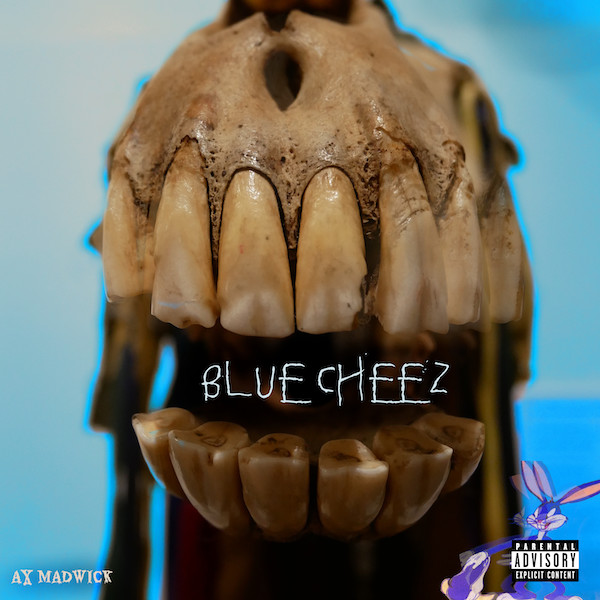 Cover art for Blue Cheez